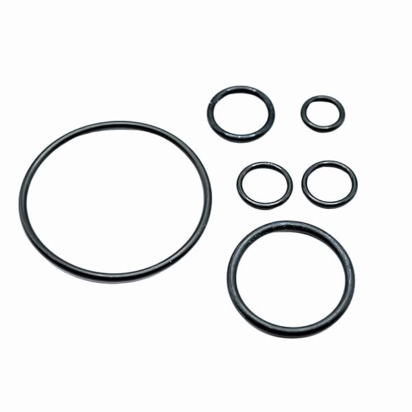 Sintrix-Fab O-Ring Seal Set – Compatible with Gardena Domestic Water Automatic Pump 4000/5E, 5000/5E, 6000/6E, Perfect for Garden Irrigation, Rainwater Harvesting & Water Pressure Maintenance